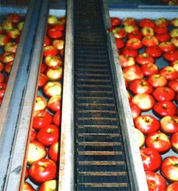R68 széria almaosztályozó gépen, állandóan nedves és poros környezetben. 