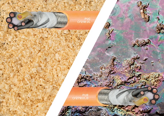 CF online szeminárium